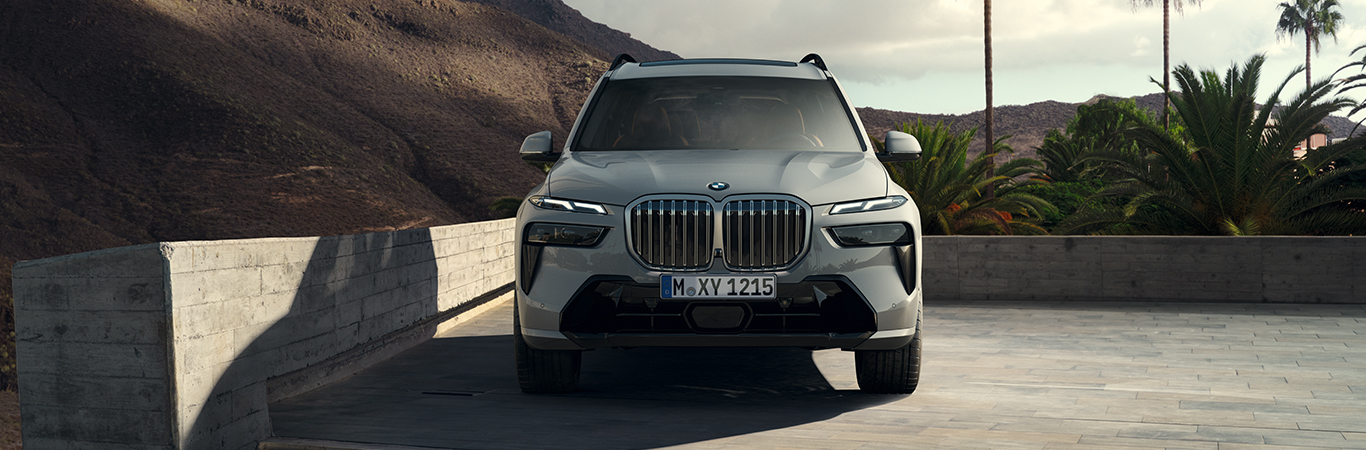 THE BMW X7